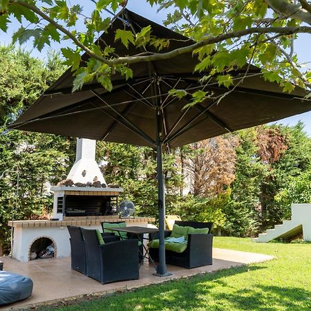Beautiful Summer Villa In Chalkoutsi Khalkoutsion Dış mekan fotoğraf