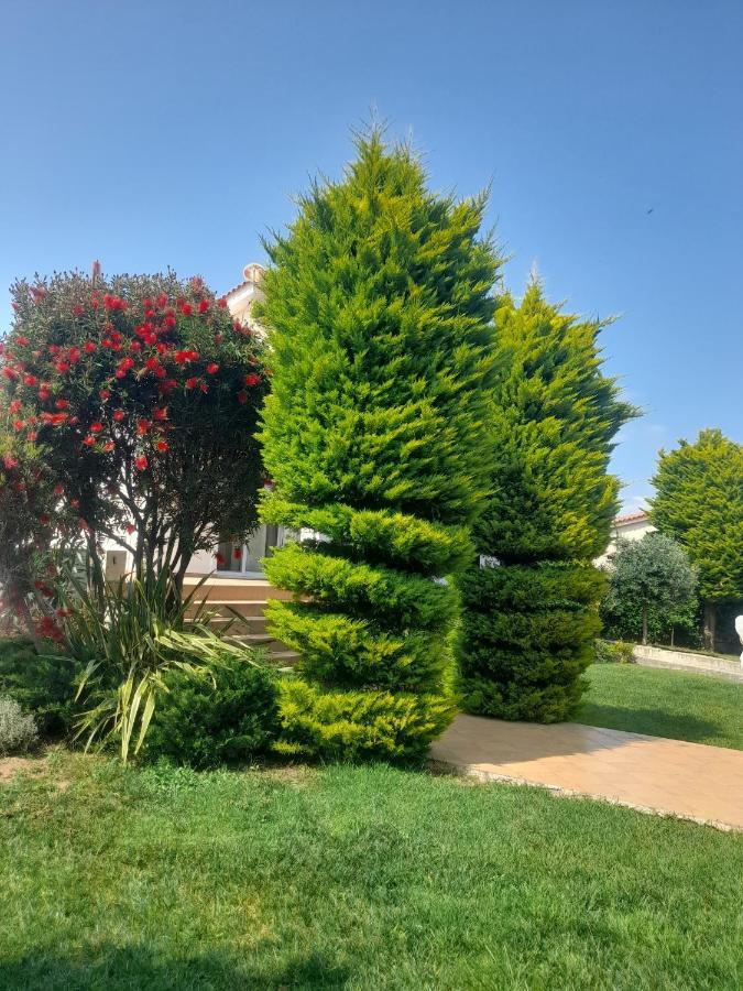 Beautiful Summer Villa In Chalkoutsi Khalkoutsion Dış mekan fotoğraf