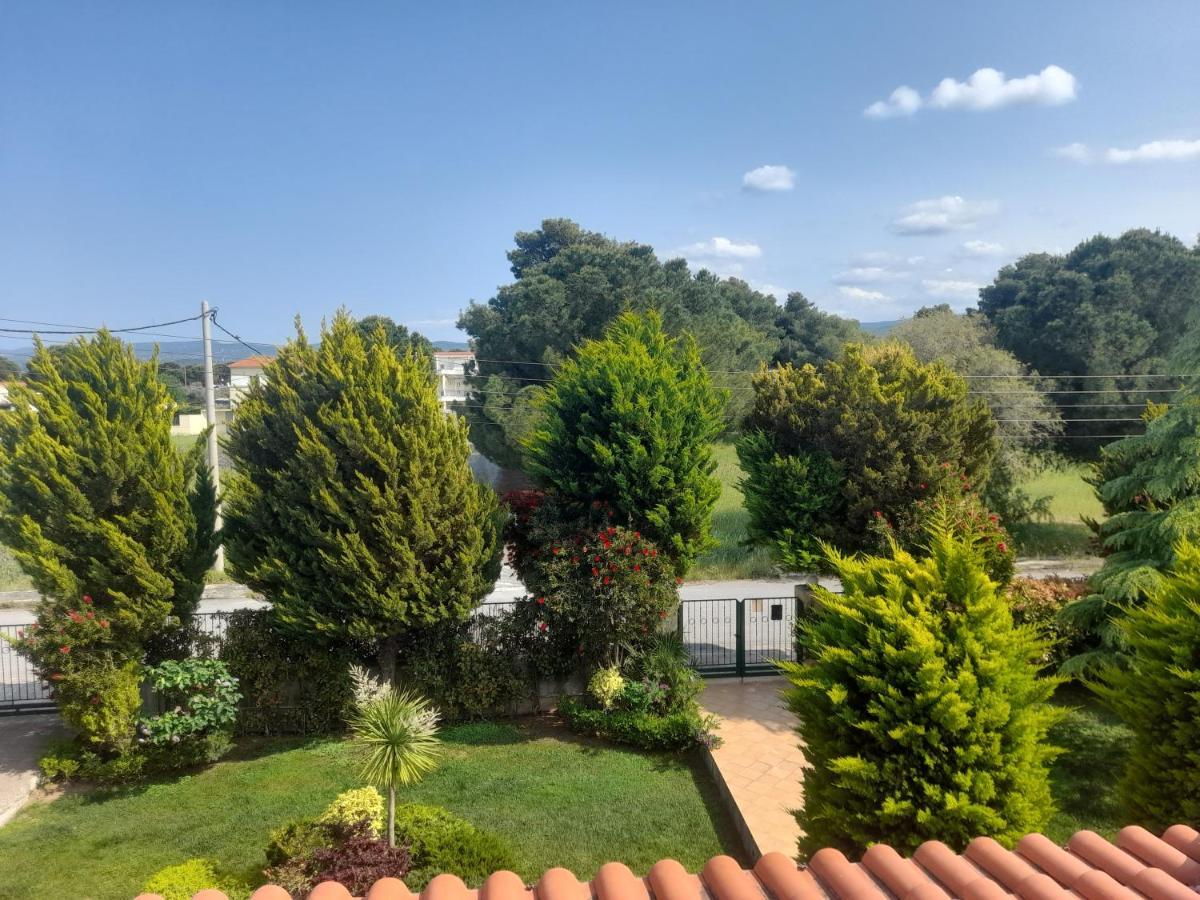 Beautiful Summer Villa In Chalkoutsi Khalkoutsion Dış mekan fotoğraf