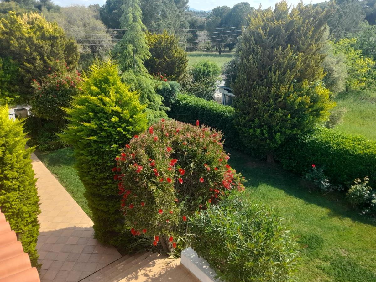 Beautiful Summer Villa In Chalkoutsi Khalkoutsion Dış mekan fotoğraf