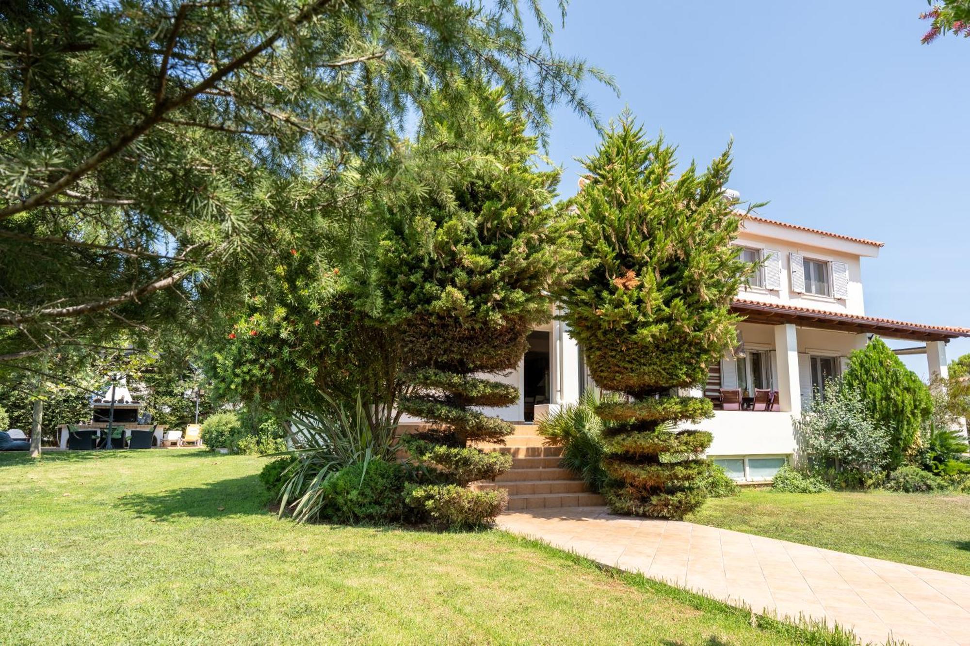 Beautiful Summer Villa In Chalkoutsi Khalkoutsion Dış mekan fotoğraf
