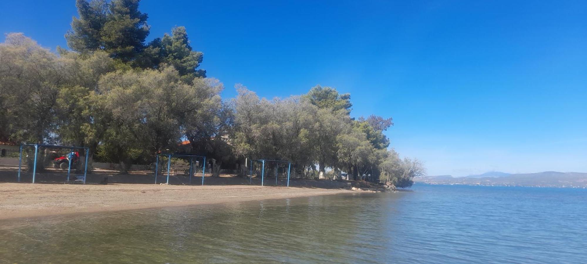 Beautiful Summer Villa In Chalkoutsi Khalkoutsion Dış mekan fotoğraf