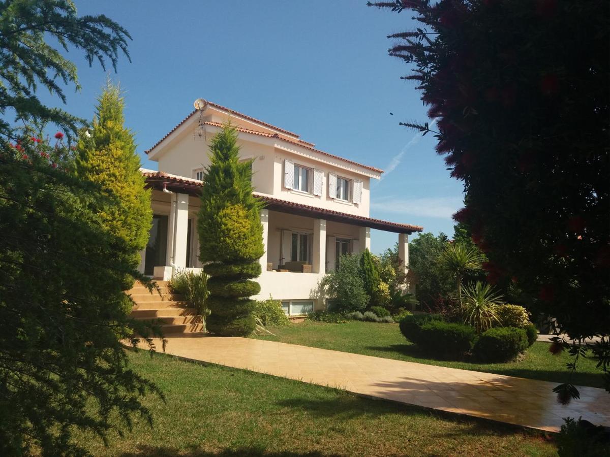 Beautiful Summer Villa In Chalkoutsi Khalkoutsion Dış mekan fotoğraf