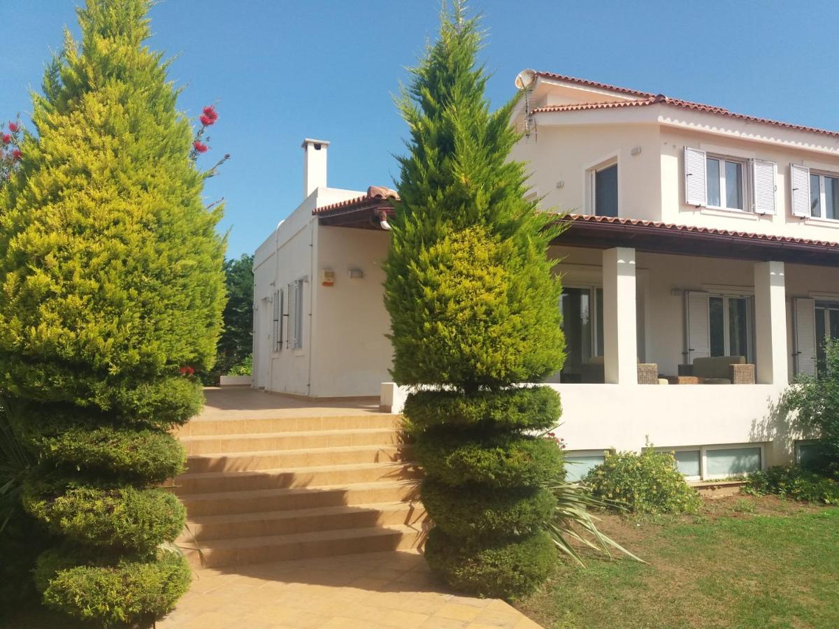 Beautiful Summer Villa In Chalkoutsi Khalkoutsion Dış mekan fotoğraf