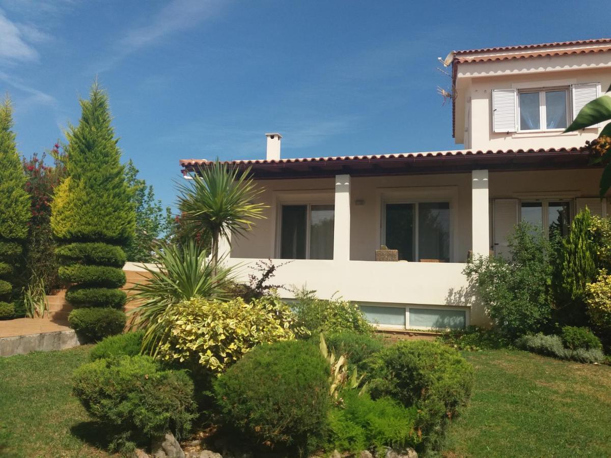 Beautiful Summer Villa In Chalkoutsi Khalkoutsion Dış mekan fotoğraf