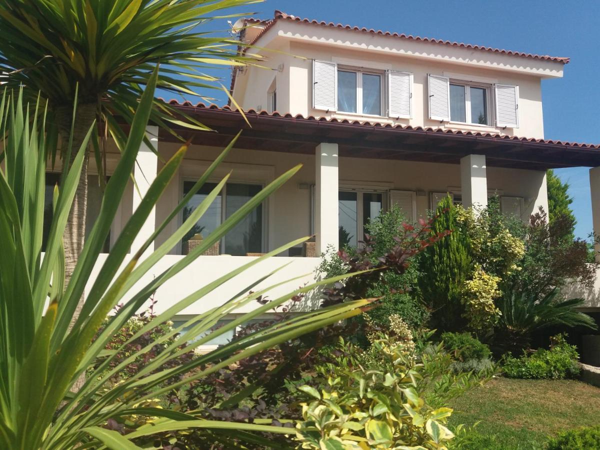 Beautiful Summer Villa In Chalkoutsi Khalkoutsion Dış mekan fotoğraf