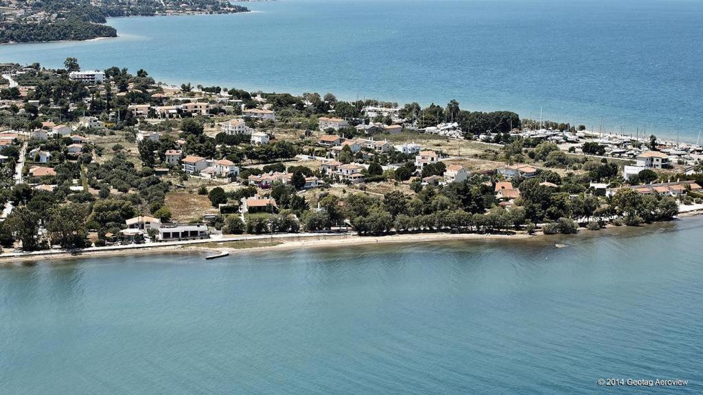Beautiful Summer Villa In Chalkoutsi Khalkoutsion Dış mekan fotoğraf
